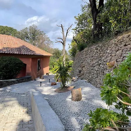 Carpediem Corsica Adult Only 3* Poggio-d'Oletta